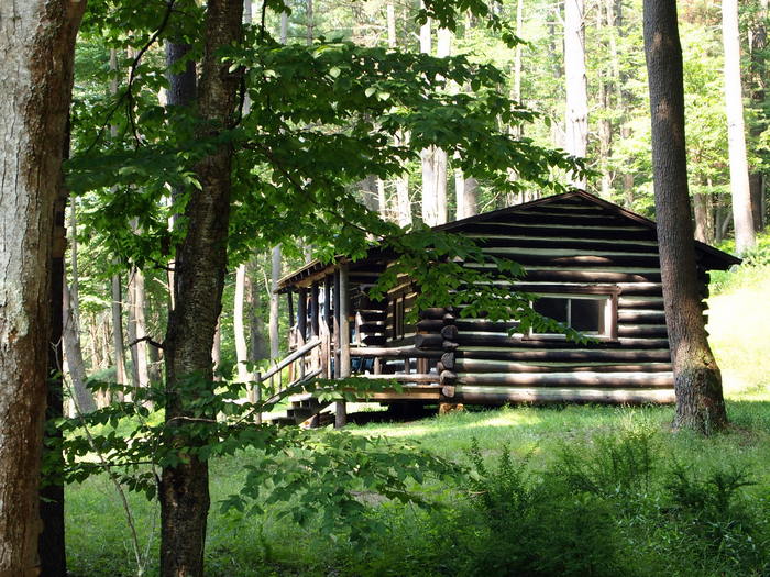 Cook Forest
