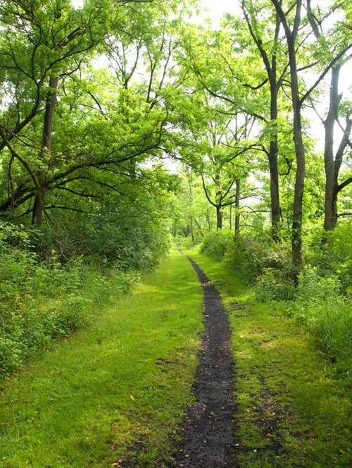 Keuka Lake Outlet Trail