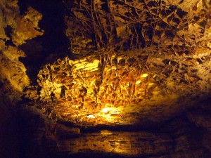 Wind Cave National Park