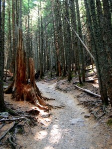 Glacier National Park