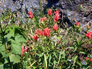 Glacier National Park