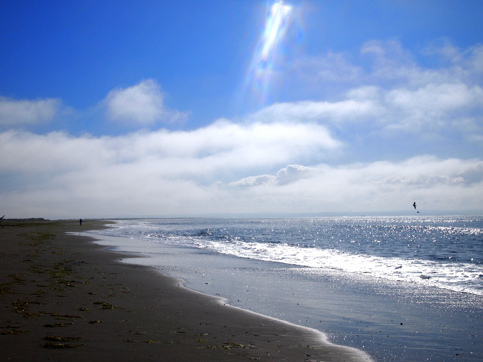 Ocean Shores, Washington