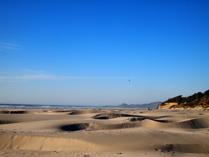 Yaquina Bay Dunes