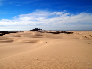 Oregon Sand Dunes National Recreation Area