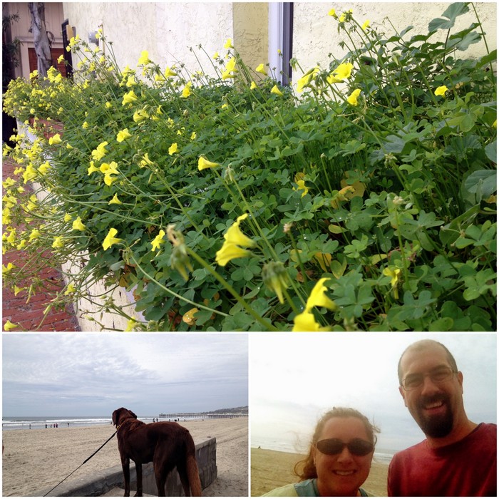 Christmas day stroll on the boardwalk