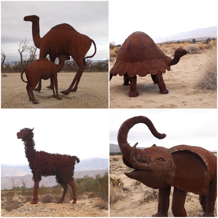 Camels, Turtle, Llama, Elephant