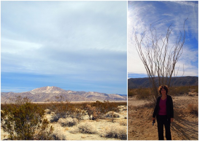 Joshua Tree National Park