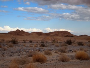 Borrego Springs