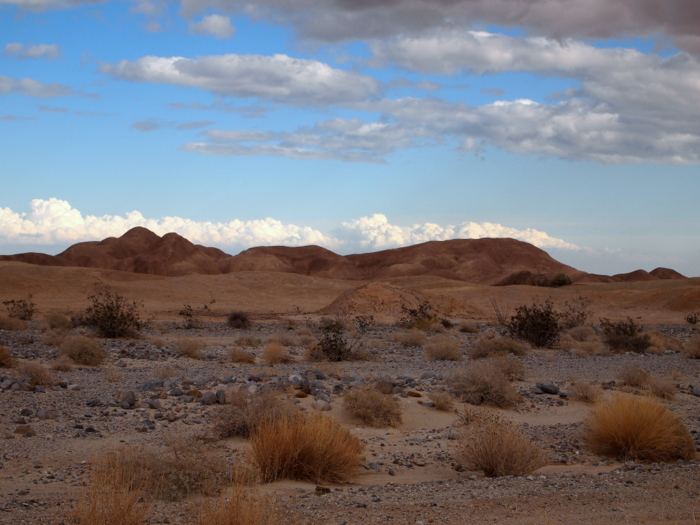 Borrego Springs