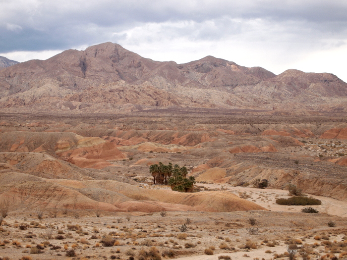 Borrego Springs