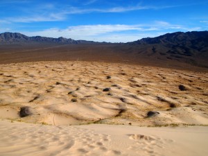 Mojave National Preserve