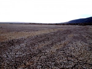 Borrego Springs