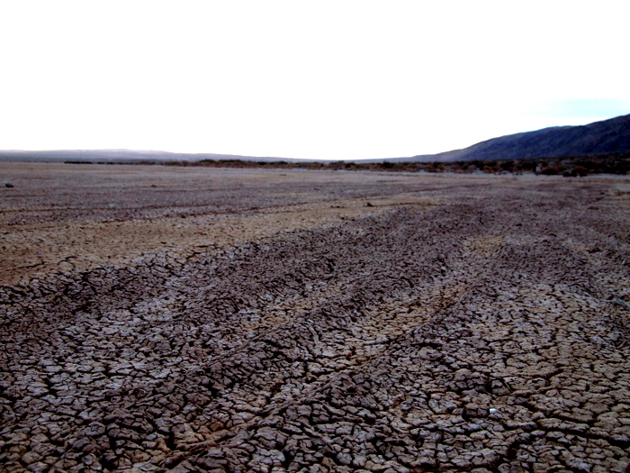 Borrego Springs