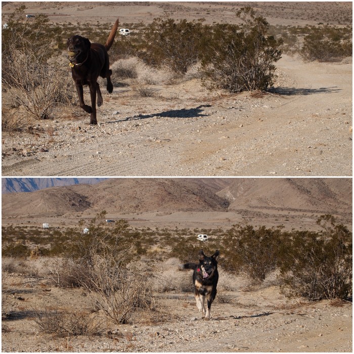 anza-borrego