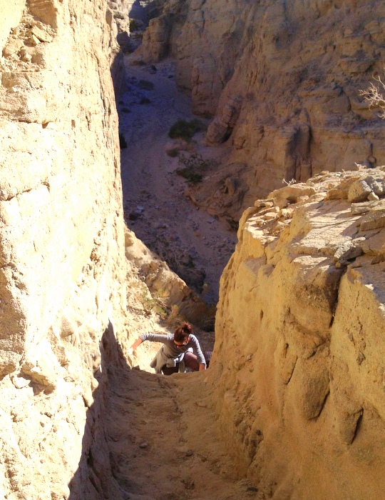 Borrego Springs