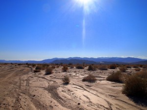 anza-borrego