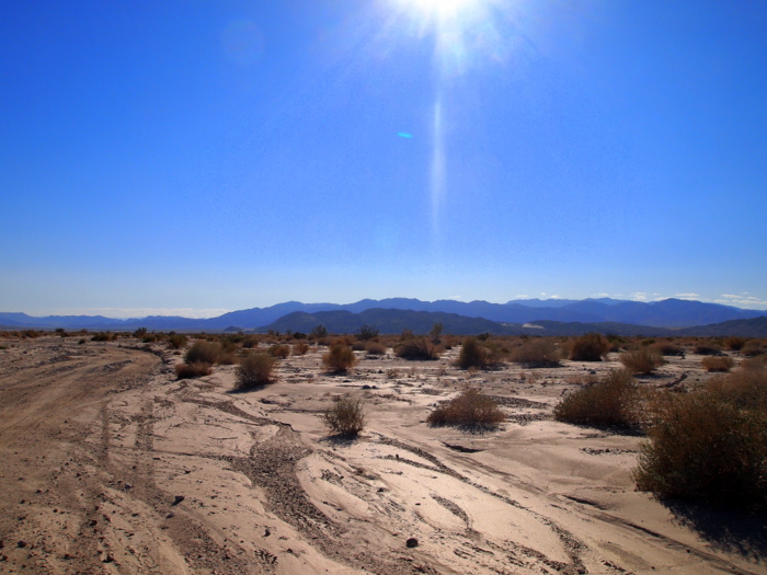 anza-borrego