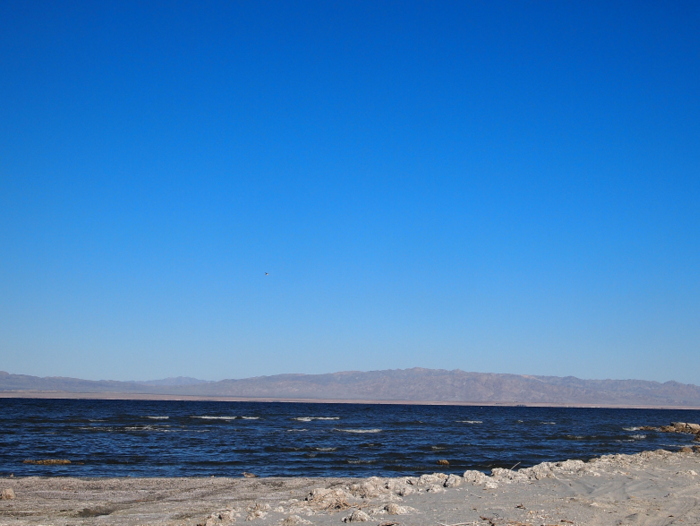 anza-borrego