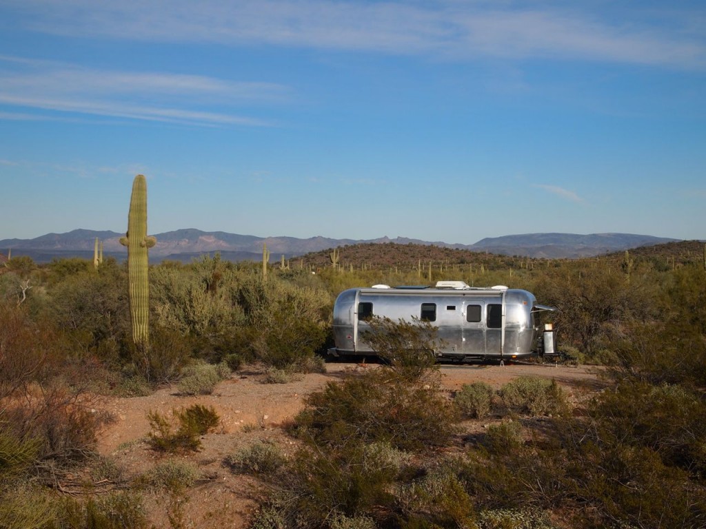 Nestled amongst the saguaros 