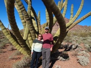 Organ Pipe Cactus National Monument