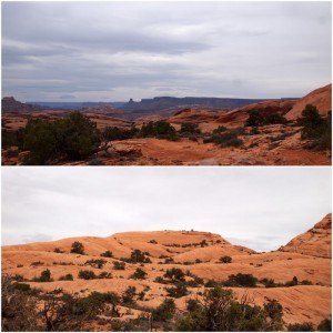 dogs hiking moab