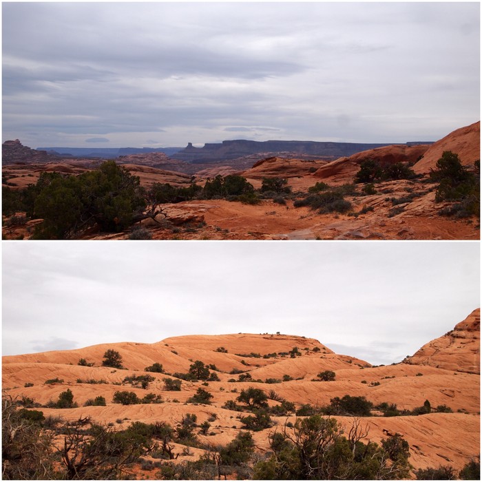 dogs hiking moab