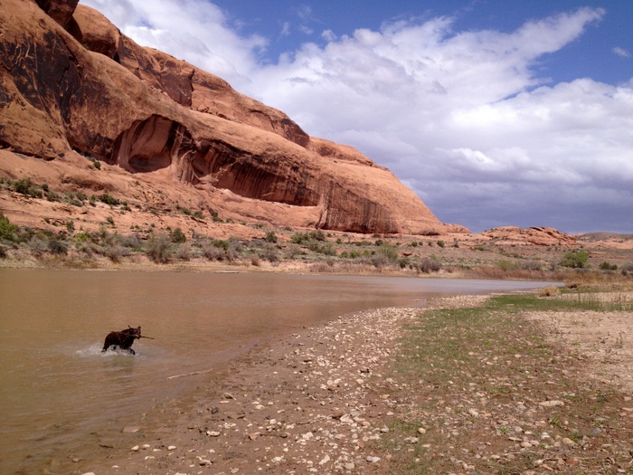 dog friendly hiking in moab