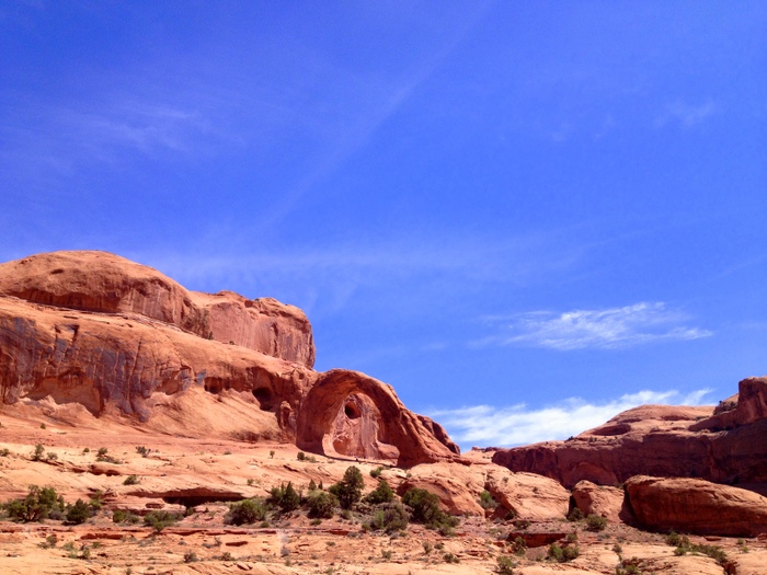 dogs hiking moab