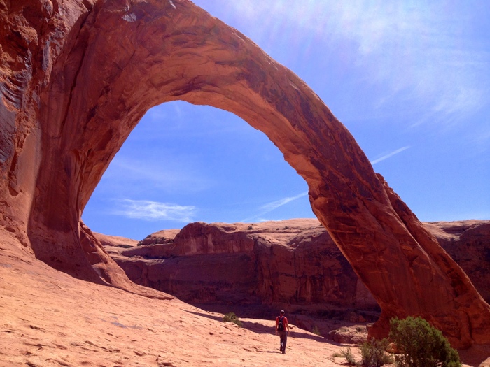 dog friendly hiking in moab