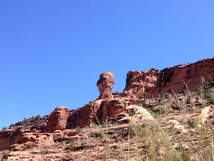 dog friendly hiking in moab