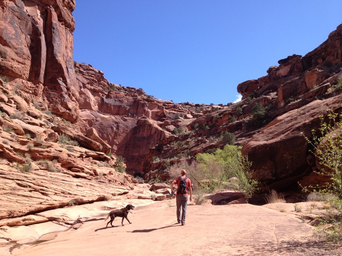dog friendly hiking in moab