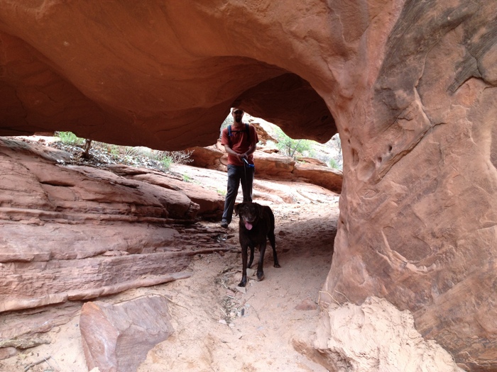 dog friendly hiking in moab