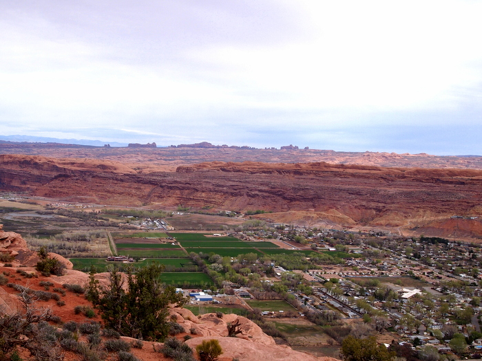 hike dog moab