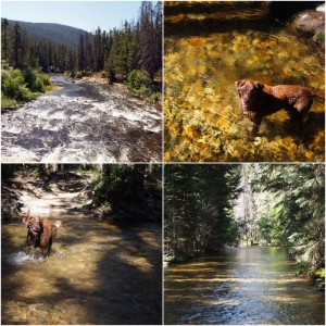 Fun in the river