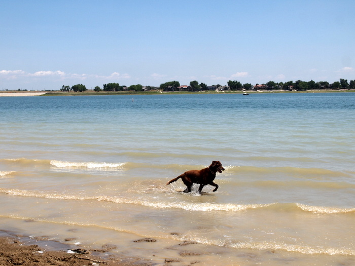 boyd lake