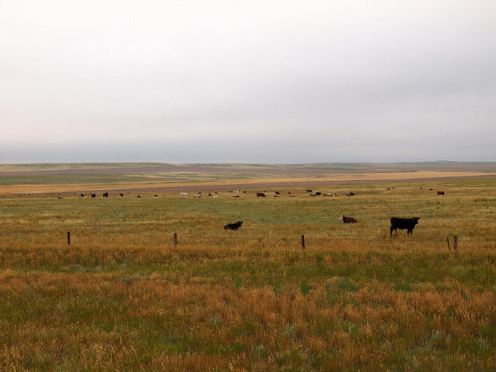 Scottsbluff, Nebraska