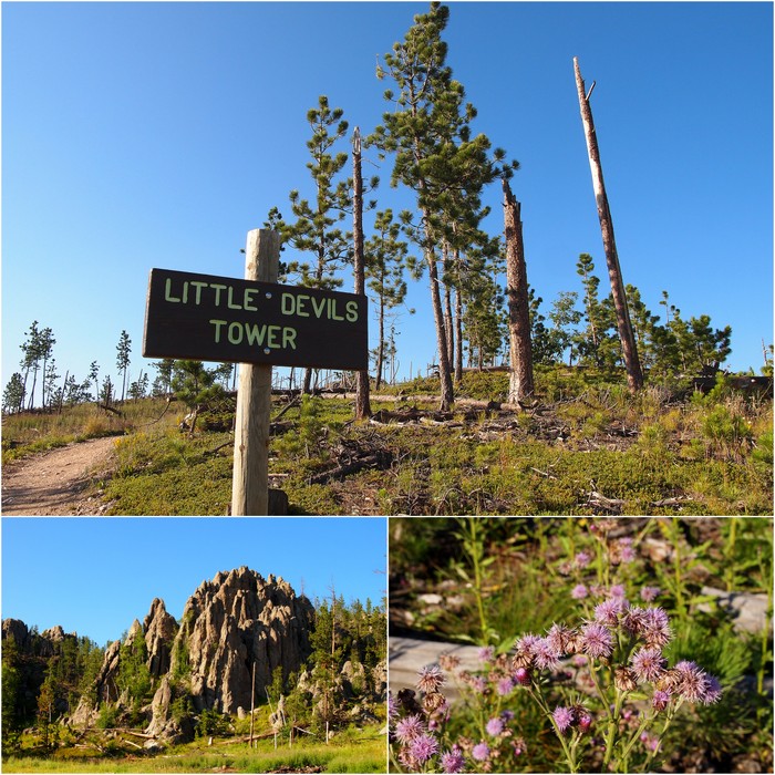 black hills
