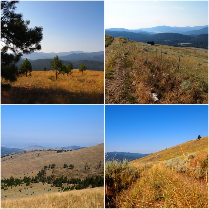 At the top and walking along the ridge