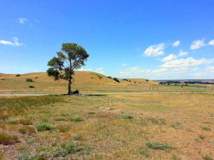 Prairie Dog Town