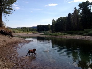 Jim & Mary's RV Park