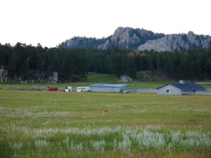 black hills