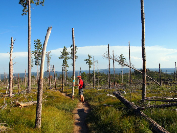 black hills