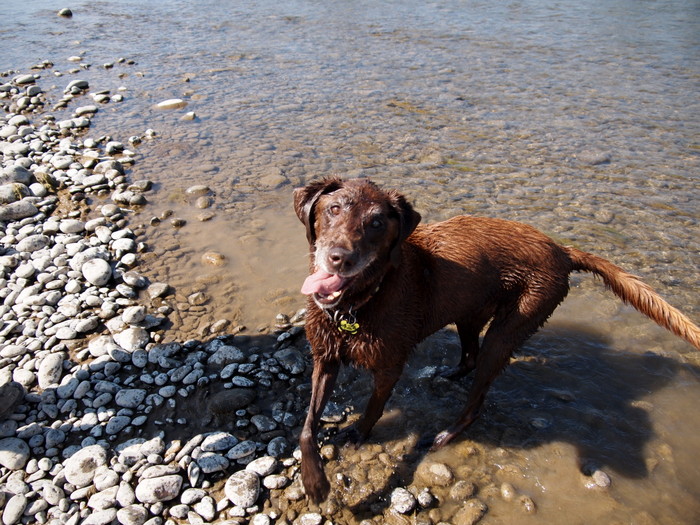 Fun in the river