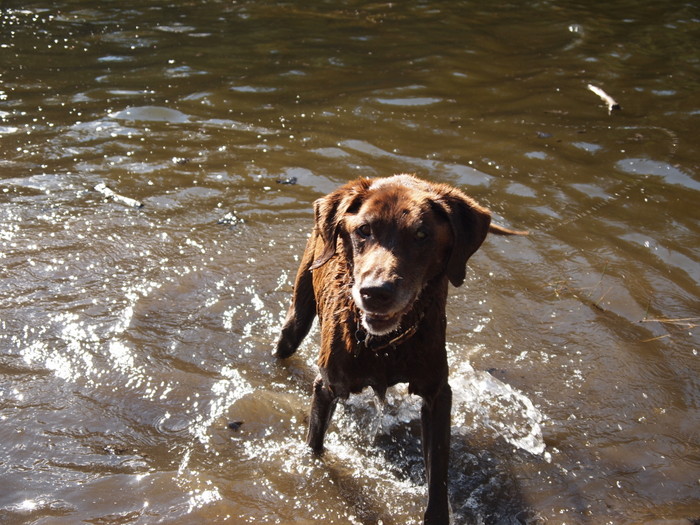 Swimming in Turner Lake