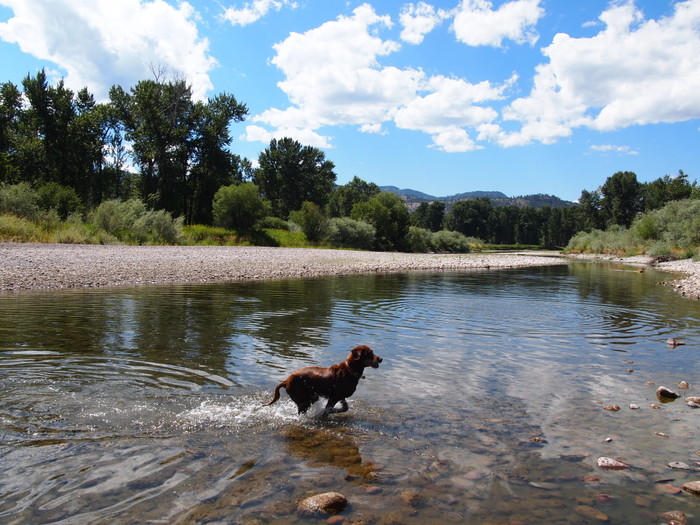 Another day, another river