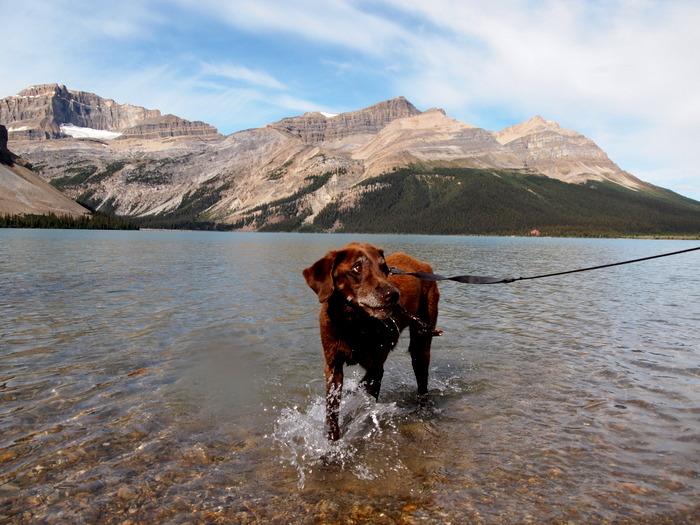 Icefields Parkway