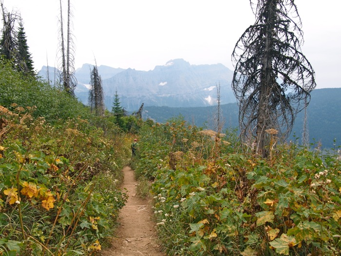 Highline Loop Trail