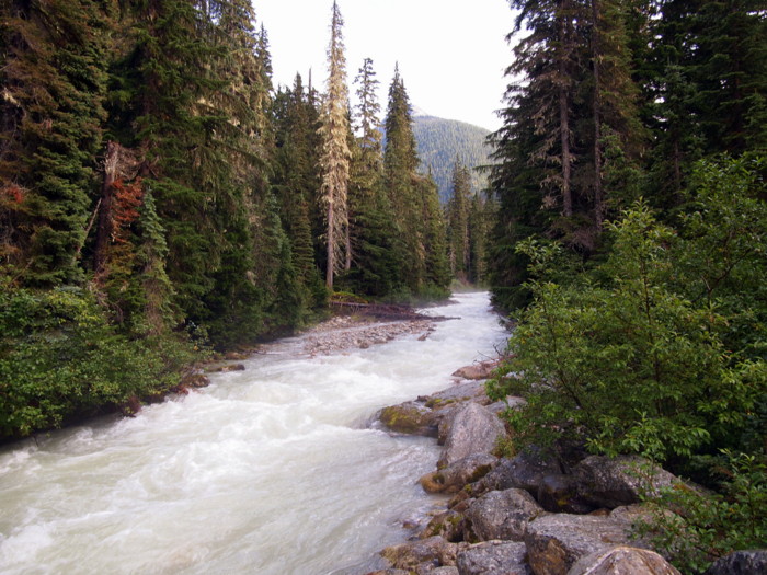 Glacier National Park, BC