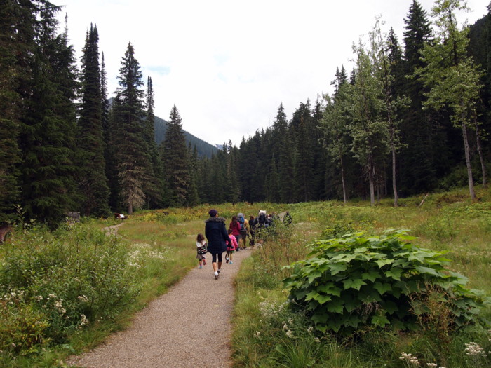 Glacier National Park, BC