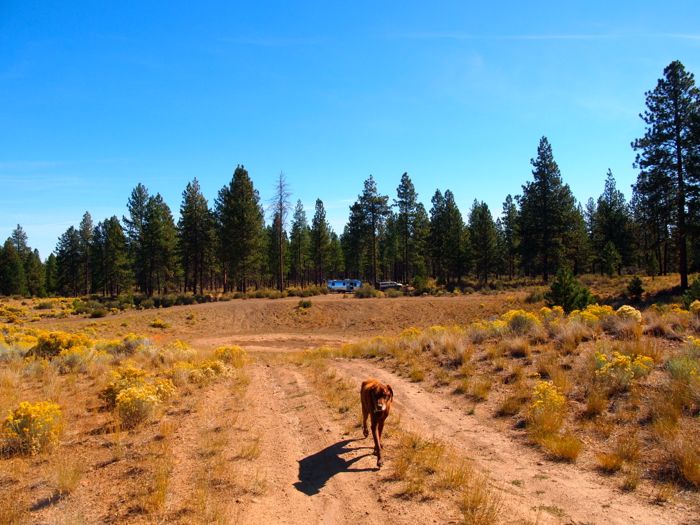 bend boondocking